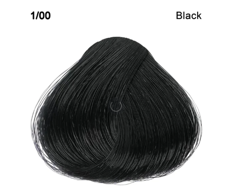 Screenshot 2026-03-11 234525