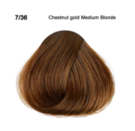 Screenshot 2026-03-11 233910