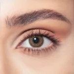 BELLA ONE DAY ASH BROWN 10DAILY