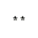 LUSTROUS(160)REAL SILVER STAR STONE EAR