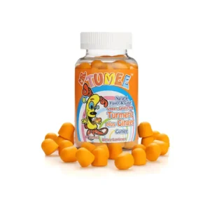 MR.TUMEE TURMERIC+GINGER 60GUMMIES