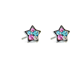 LUSTROUS(111)REAL SILVER STAR 2 EAR